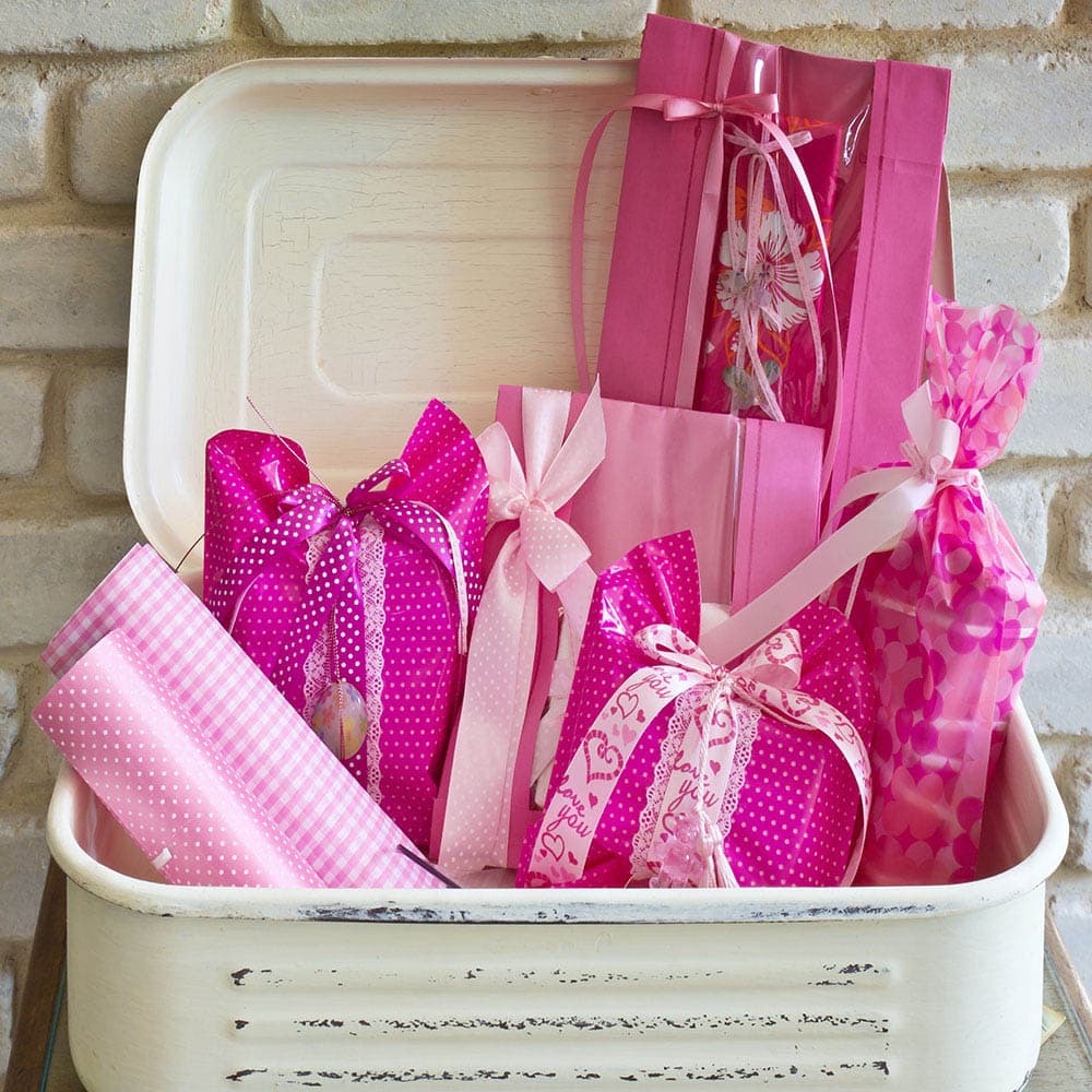 אודות דנה רונן