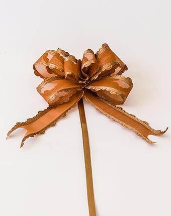 פפיון משיכה אורגנזה סטן - באג