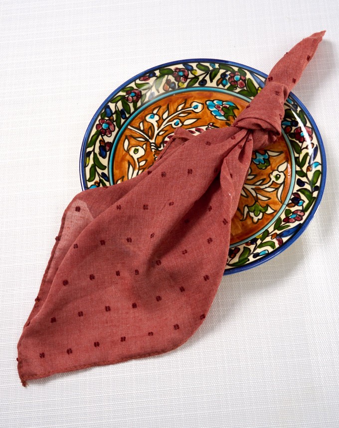 מפיות טטרה נקודות - בריק