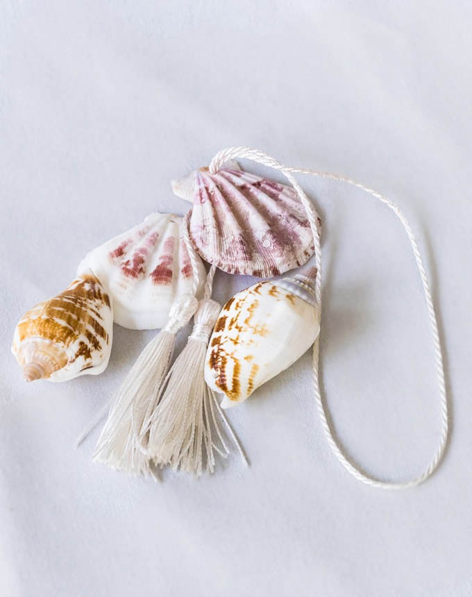 צדף+חור השחלה