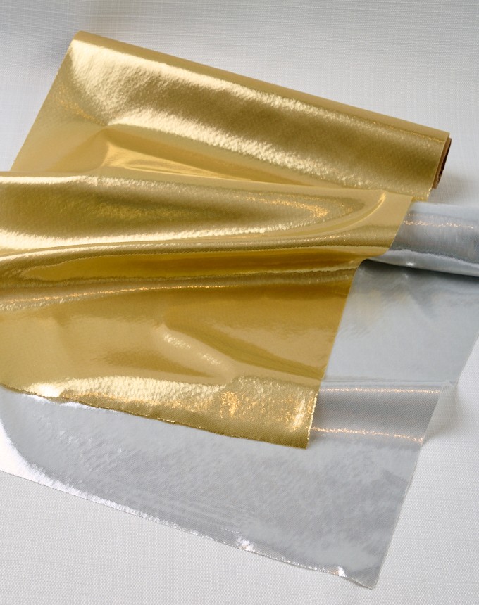 רנר לורקס מטלי