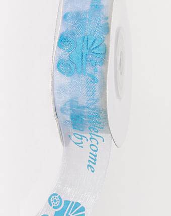 אורגנזה WB - תכלת