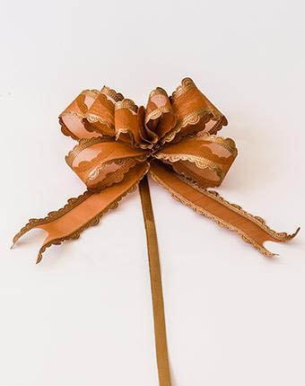 פפיון משיכה אורגנזה סטן - באג