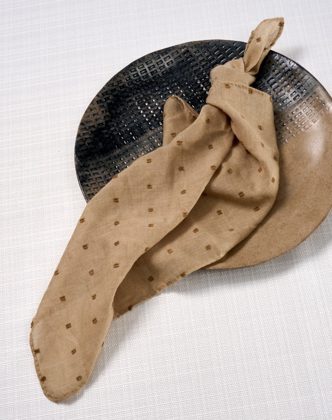 מפיות טטרה נקודות - באג'