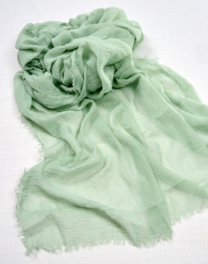 רנר טטרה פרנז - מנטה