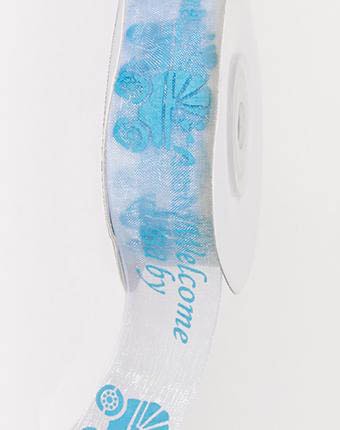 אורגנזה WB - תכלת