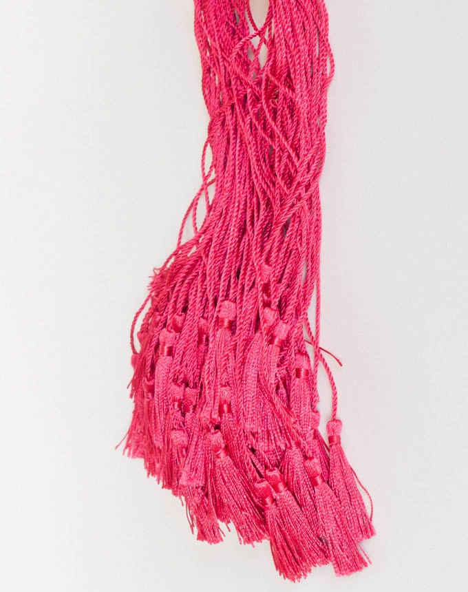 גדילים דקים - פוקסיה