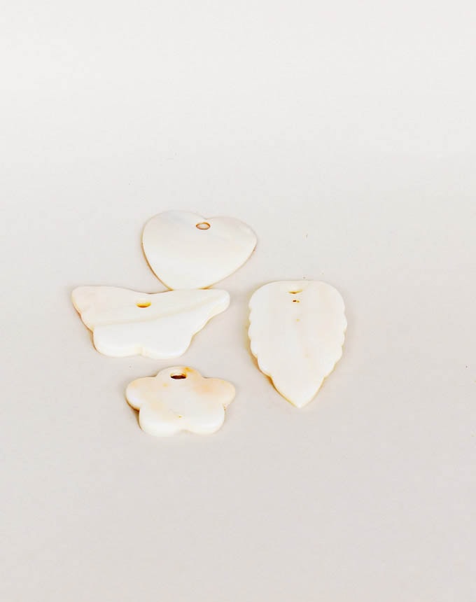 צדפים מלוטשים