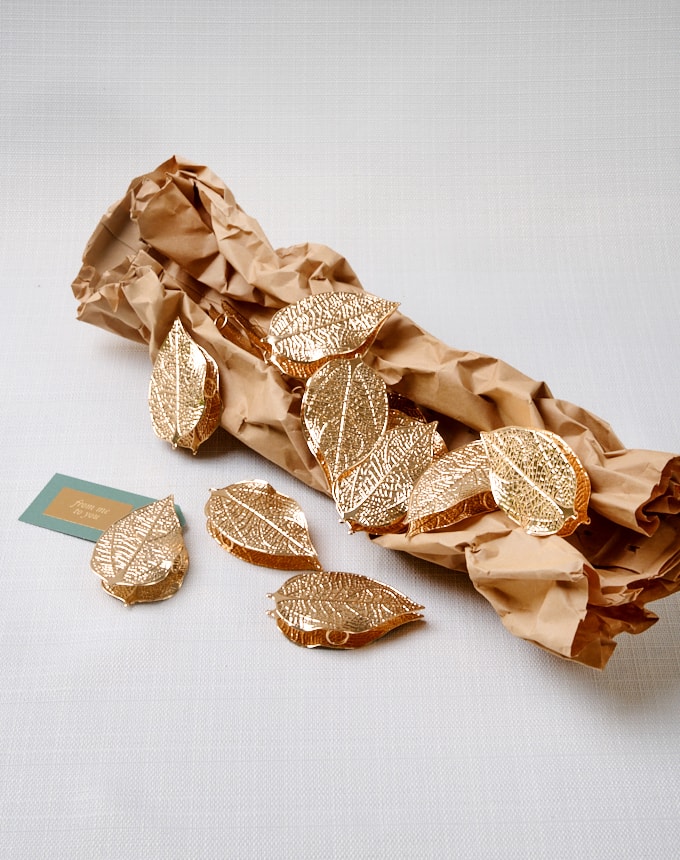 חבק כרטיס הושבה