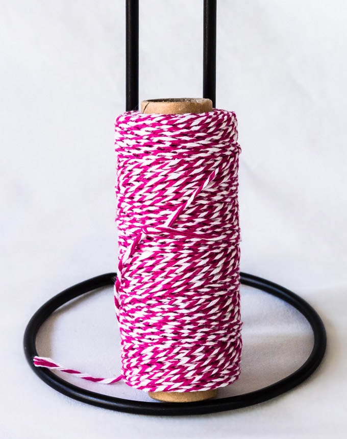 שרוך איכרים - פוקסיה